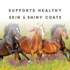 Sho-Glo Complete Vitamin + Mineral Horse Supplement 15 Sho-Glo Complete Vitamin + Mineral Horse Supplement -Poultry Supply Store 11907 6