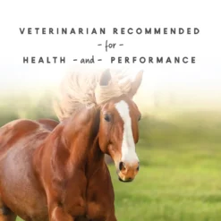 Sho-Glo Complete Vitamin + Mineral Horse Supplement 17 Sho-Glo Complete Vitamin + Mineral Horse Supplement -Poultry Supply Store 11907 8