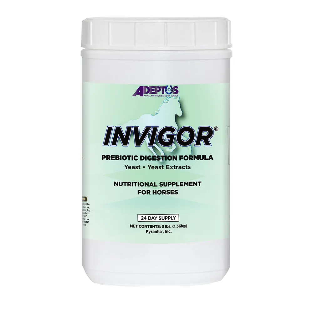 Invigor Yeast And Yeast Extract Prebiotic Digestion Formula For Horses 2 Invigor Yeast And Yeast Extract Prebiotic Digestion Formula For Horses