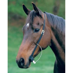 Hamilton Grooma Easy Wormer -Poultry Supply Store 12555 3