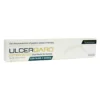 Boehringer Ingelheim UlcerGard (Omeprazole) Oral Paste For Horses -Poultry Supply Store 12812