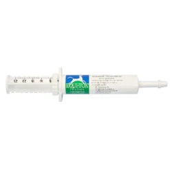 DECHRA Equidone Oral Gel Rx