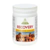 Recovery Equine Extra Strength With HA 2 Recovery Equine Extra Strength With HA -Poultry Supply Store 13208