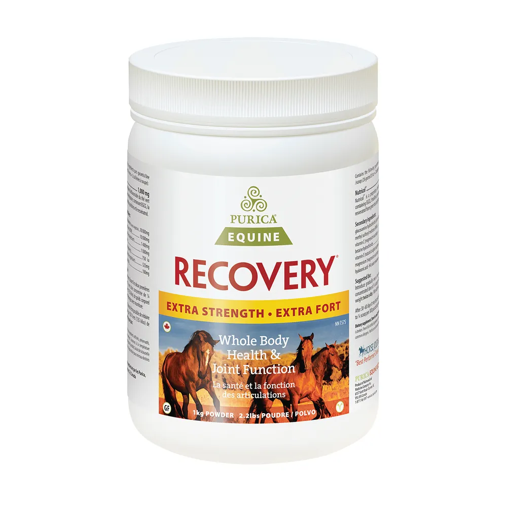 Recovery Equine Extra Strength With HA 3 Recovery Equine Extra Strength With HA