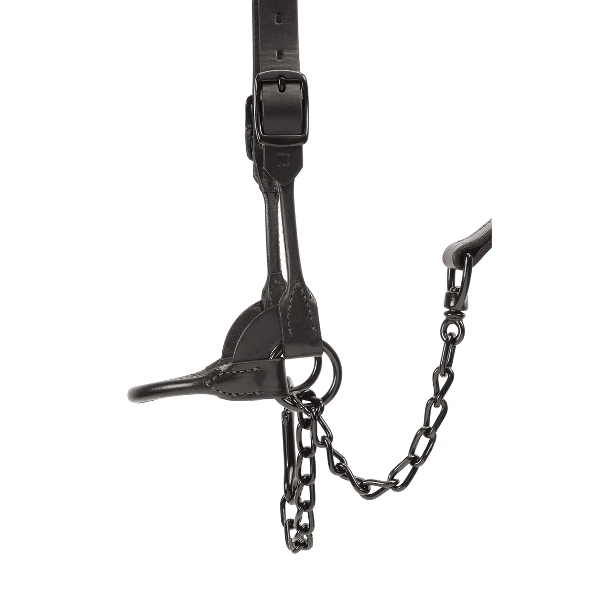 Stierwalt Black Magic And Brown Bombshell Show Halter 4 Stierwalt Black Magic And Brown Bombshell Show Halter - Image 2