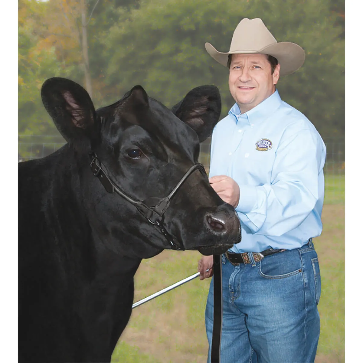 Stierwalt Black Magic And Brown Bombshell Show Halter 7 Stierwalt Black Magic And Brown Bombshell Show Halter - Image 5