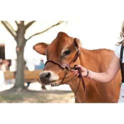 Stierwalt Black Magic And Brown Bombshell Show Halter 15 Stierwalt Black Magic And Brown Bombshell Show Halter -Poultry Supply Store 13747 6