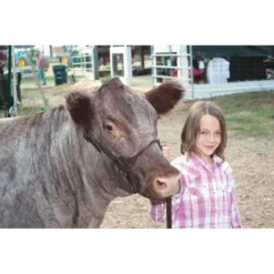 Stierwalt Black Magic And Brown Bombshell Show Halter 16 Stierwalt Black Magic And Brown Bombshell Show Halter -Poultry Supply Store 13747 7