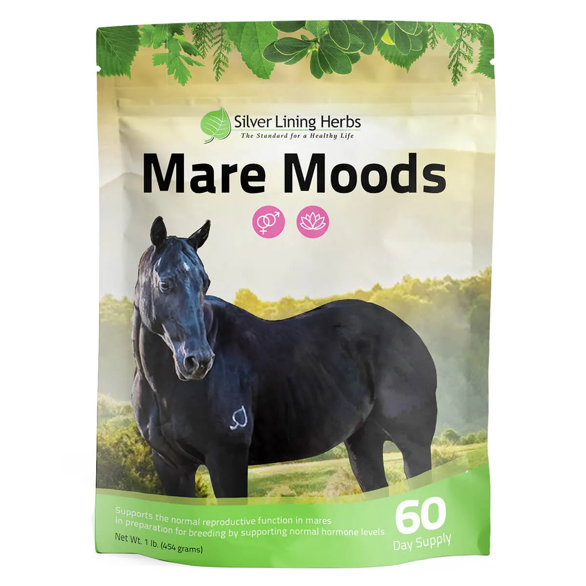 Mare Moods For Horses 3 Mare Moods For Horses