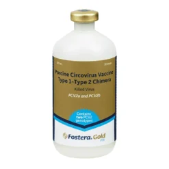 ZOETIS Fostera Gold PCV Swine Vaccine