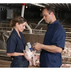 ZOETIS Fostera Gold PCV Swine Vaccine -Poultry Supply Store 14577 3