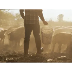 BOGS Men's Rancher Boots -Poultry Supply Store 14635 5