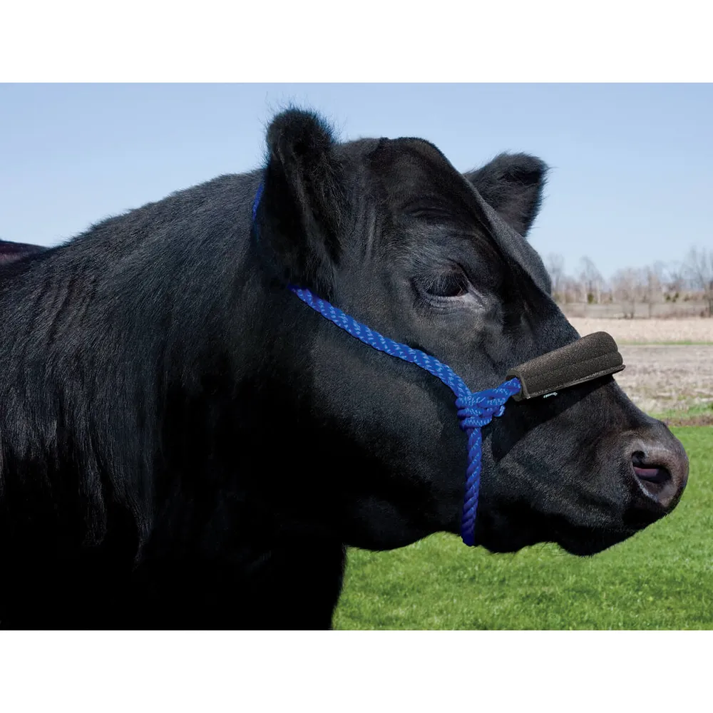 Noseband Covers 4 Noseband Covers - Image 2