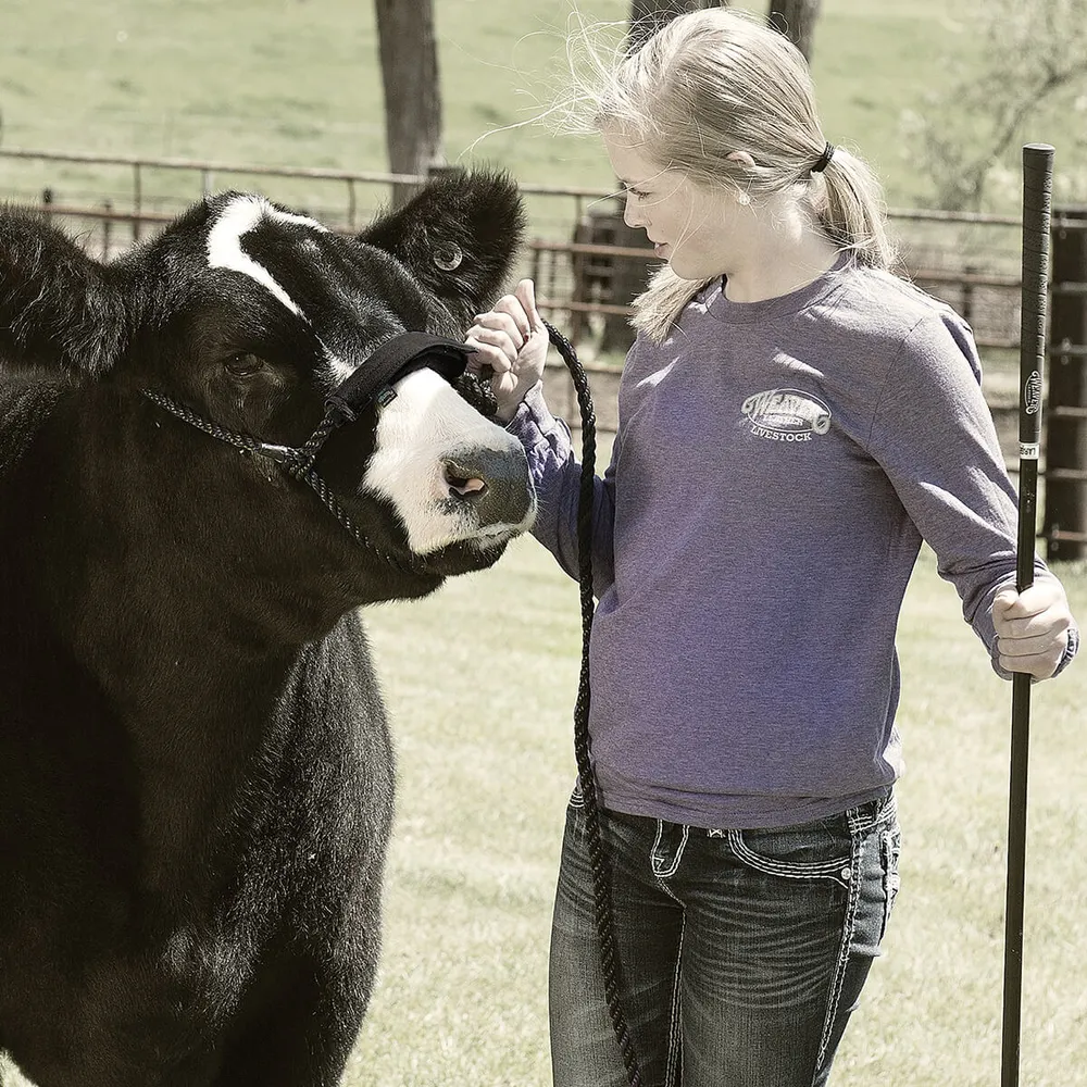 Noseband Covers 5 Noseband Covers - Image 3