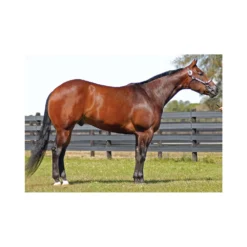 WAHNA WIN Complete Coat Care -Poultry Supply Store 14828 5