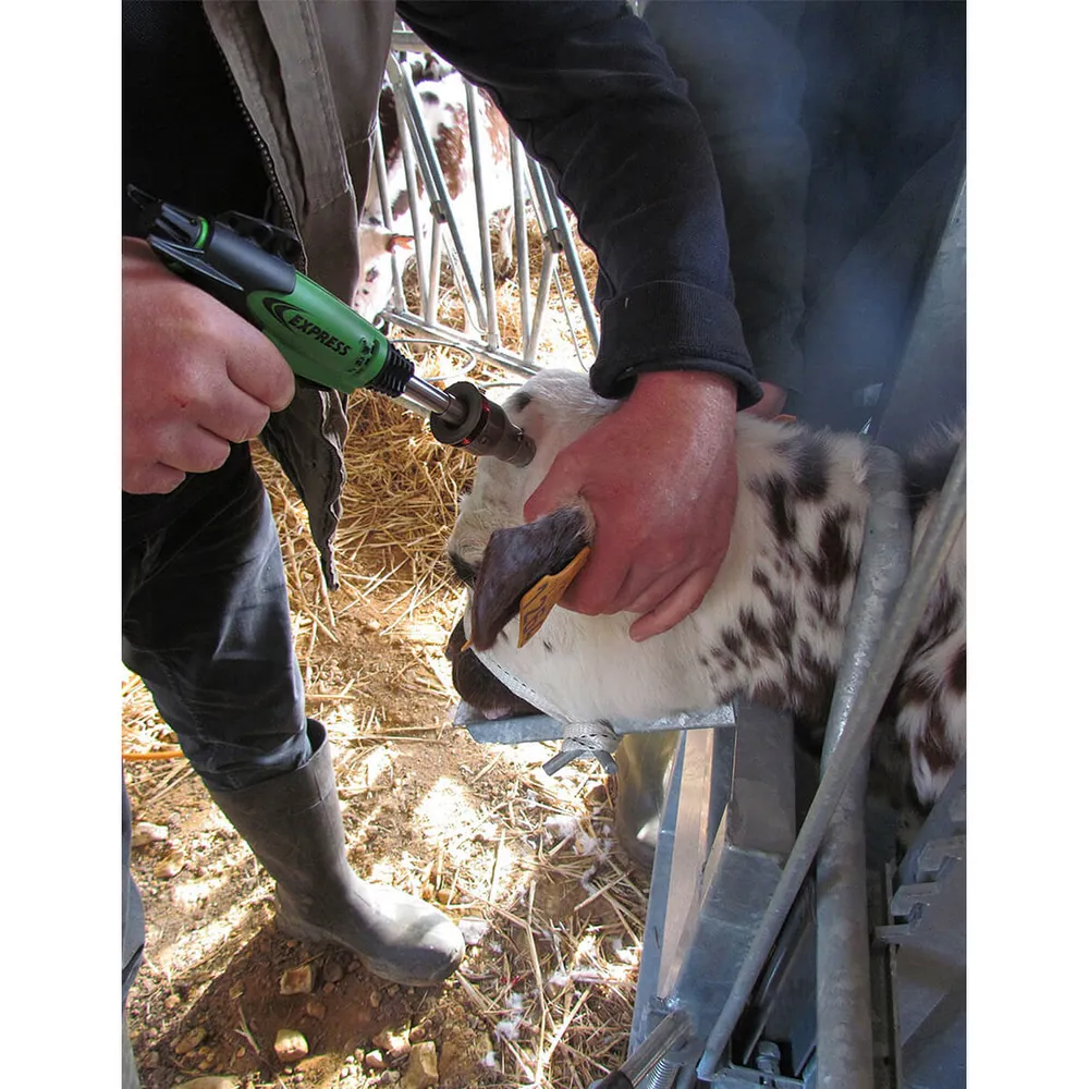 Express Pistol-Grip Dehorner And Debudder 5 Express Pistol-Grip Dehorner And Debudder - Image 3