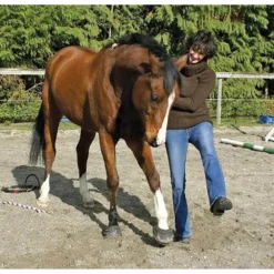 Cavallo Sport Regular Sole Horse Boots 13 Cavallo Sport Regular Sole Horse Boots -Poultry Supply Store 15190 5