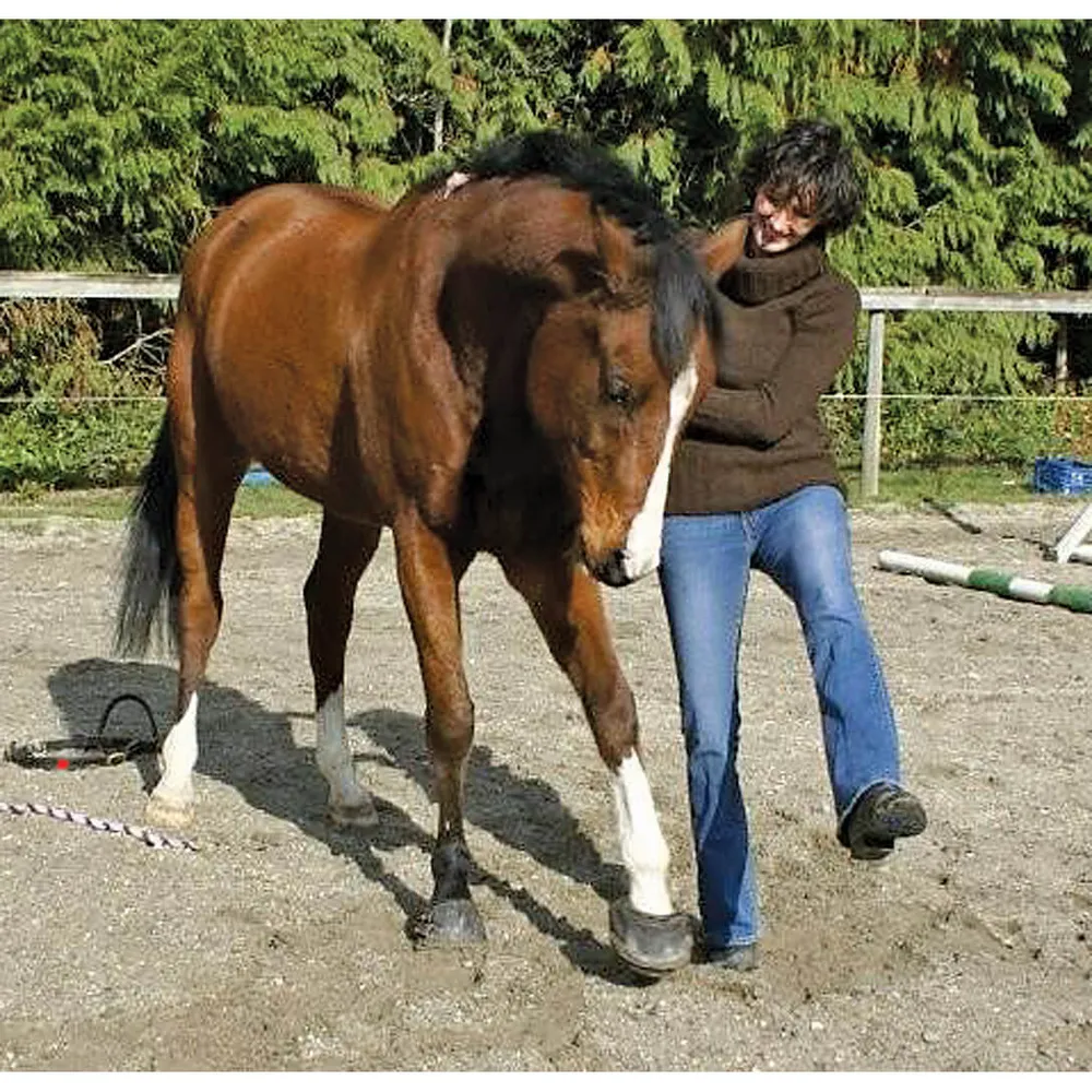 Cavallo Sport Regular Sole Horse Boots 7 Cavallo Sport Regular Sole Horse Boots - Image 5