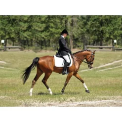 Cavallo Sport Regular Sole Horse Boots 14 Cavallo Sport Regular Sole Horse Boots -Poultry Supply Store 15190 6