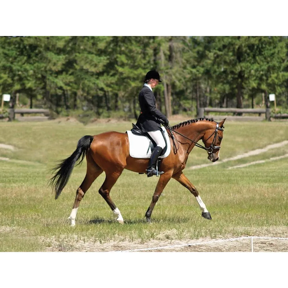 Cavallo Sport Regular Sole Horse Boots 8 Cavallo Sport Regular Sole Horse Boots - Image 6