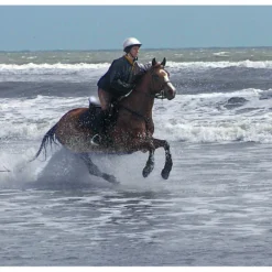 Cavallo Sport Regular Sole Horse Boots 15 Cavallo Sport Regular Sole Horse Boots -Poultry Supply Store 15190 7