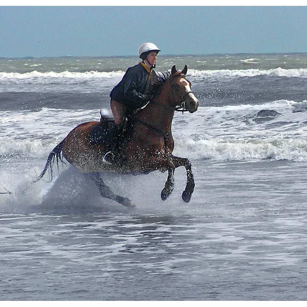 Cavallo Sport Regular Sole Horse Boots 9 Cavallo Sport Regular Sole Horse Boots - Image 7