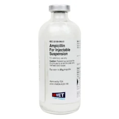 Ampicillin Injectable Rx