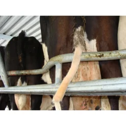 Tailwell2 Power Tail Trimmer -Poultry Supply Store 15982 5