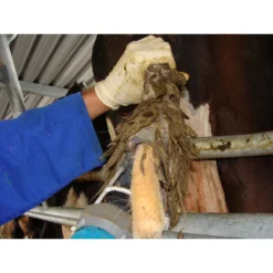 Tailwell2 Power Tail Trimmer -Poultry Supply Store 15982 8