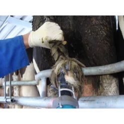 Tailwell2 Power Tail Trimmer -Poultry Supply Store 15982 9