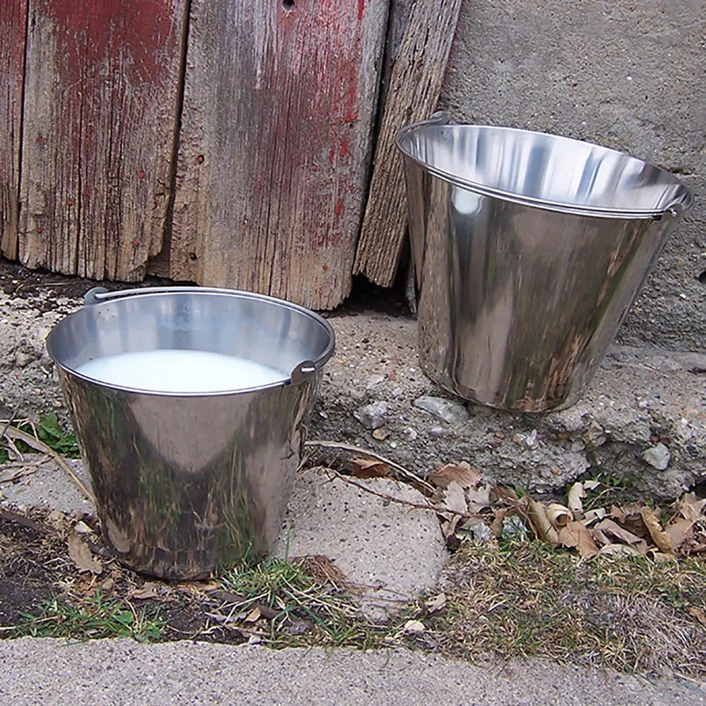 Stainless Steel Dairy Pail 4 Stainless Steel Dairy Pail - Image 2