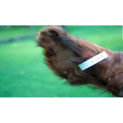 Steel Cattle Numbered Ear Tags -Poultry Supply Store 16276 4