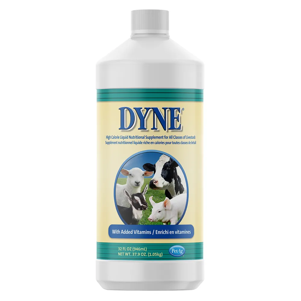 Dyne High Calorie Nutritional Livestock Supplement 3 Dyne High Calorie Nutritional Livestock Supplement