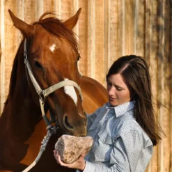 Redmond Rock For Horses -Poultry Supply Store 16932 4