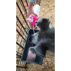 Poultry Supply Store -Poultry Supply Store 17459 2