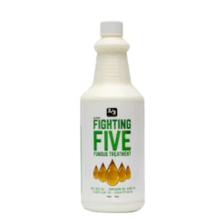 Fighting Five Fungus Treatment