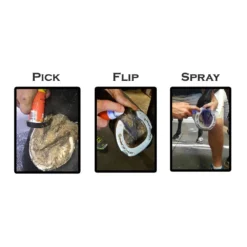 Groom's Hand Thrush Solution -Poultry Supply Store 18335 3