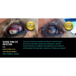 Curicyn Pink Eye Kit -Poultry Supply Store 19043 4