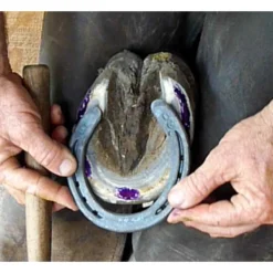 Sav-A-Hoof Gel II For Horses -Poultry Supply Store 20145 5