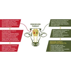 FerAppease Maternal Bovine Appeasing Substance -Poultry Supply Store 20210 4