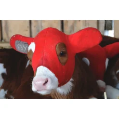 Kalf Kozie -Poultry Supply Store 20386 4