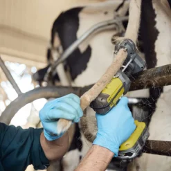 Tailwell Titanium Trimmer Kit -Poultry Supply Store 20452 3